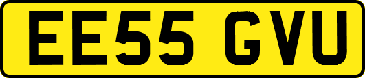 EE55GVU