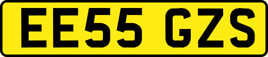 EE55GZS