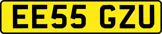 EE55GZU