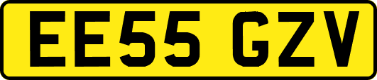 EE55GZV