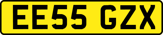 EE55GZX