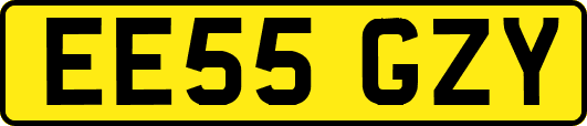 EE55GZY