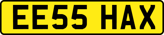 EE55HAX