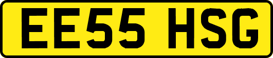 EE55HSG