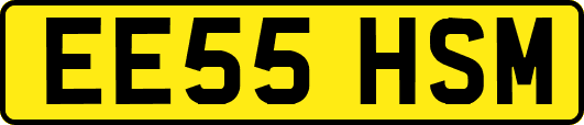 EE55HSM
