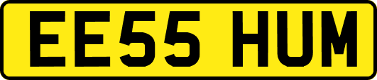 EE55HUM