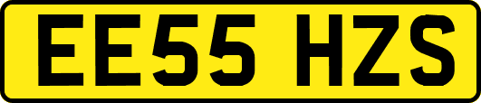 EE55HZS