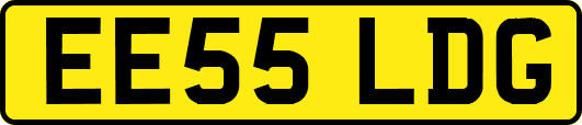 EE55LDG