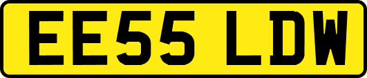 EE55LDW