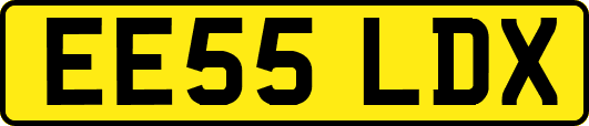 EE55LDX