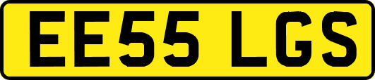 EE55LGS
