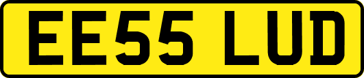 EE55LUD