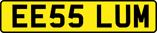 EE55LUM