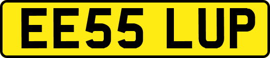 EE55LUP