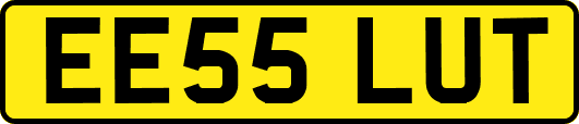 EE55LUT