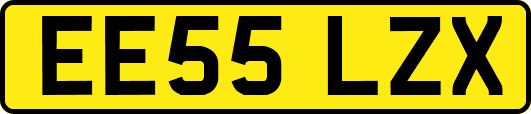 EE55LZX