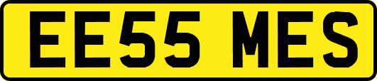 EE55MES