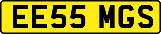 EE55MGS