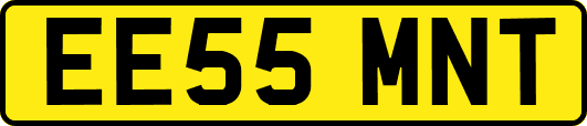 EE55MNT