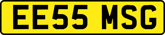 EE55MSG