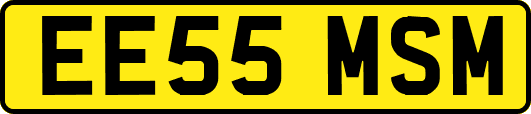 EE55MSM