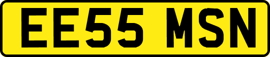 EE55MSN