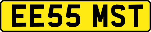 EE55MST