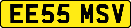 EE55MSV