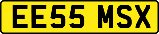 EE55MSX