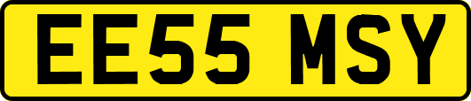 EE55MSY