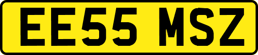 EE55MSZ