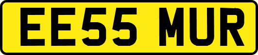EE55MUR