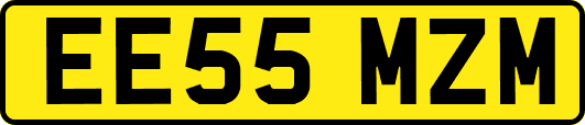 EE55MZM