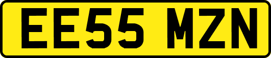 EE55MZN