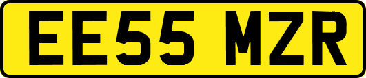 EE55MZR