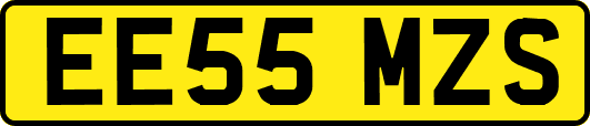 EE55MZS