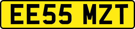 EE55MZT