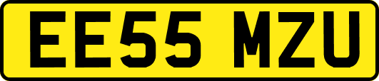 EE55MZU