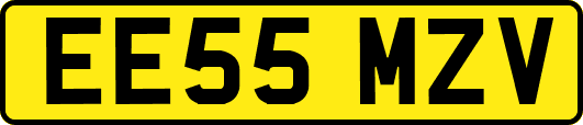 EE55MZV