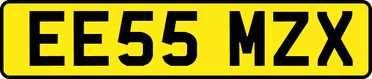 EE55MZX
