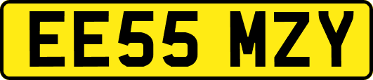 EE55MZY