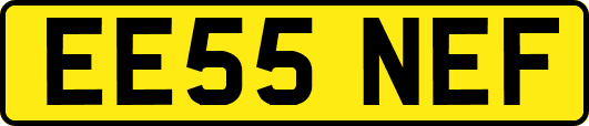 EE55NEF