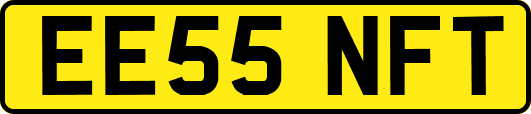 EE55NFT