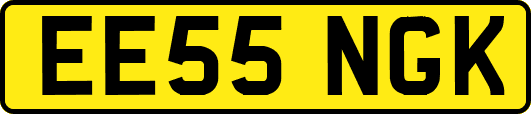 EE55NGK