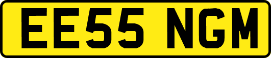 EE55NGM