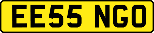 EE55NGO
