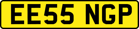 EE55NGP
