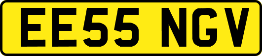 EE55NGV