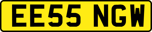 EE55NGW