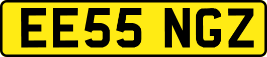 EE55NGZ